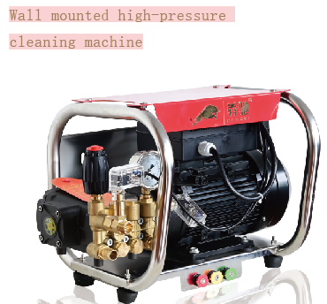 Wall mounted high pressure washer